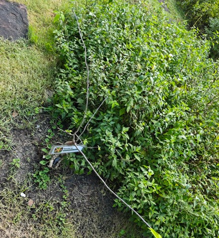 โมกสยาม