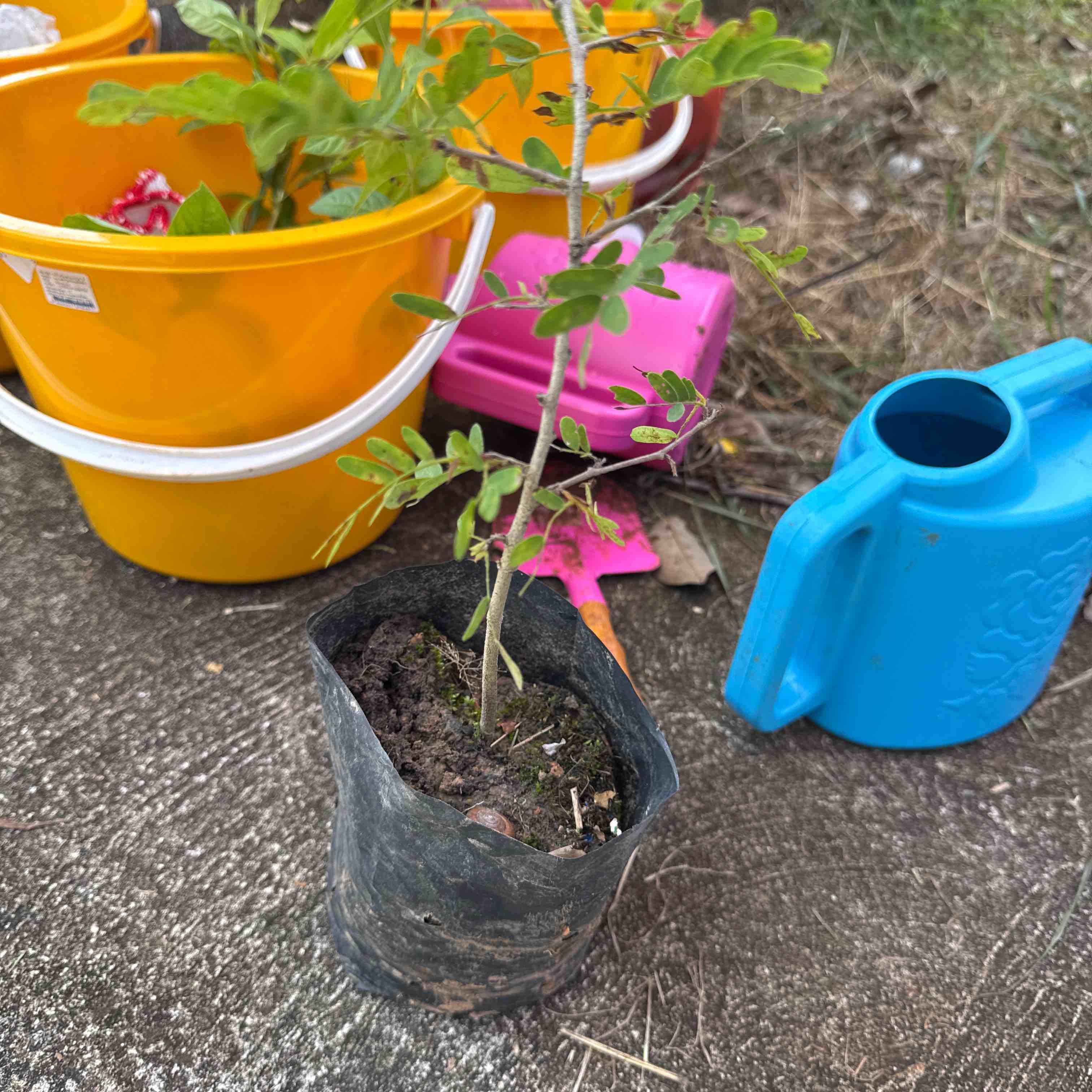 nexus-6.still002-100529777-orig