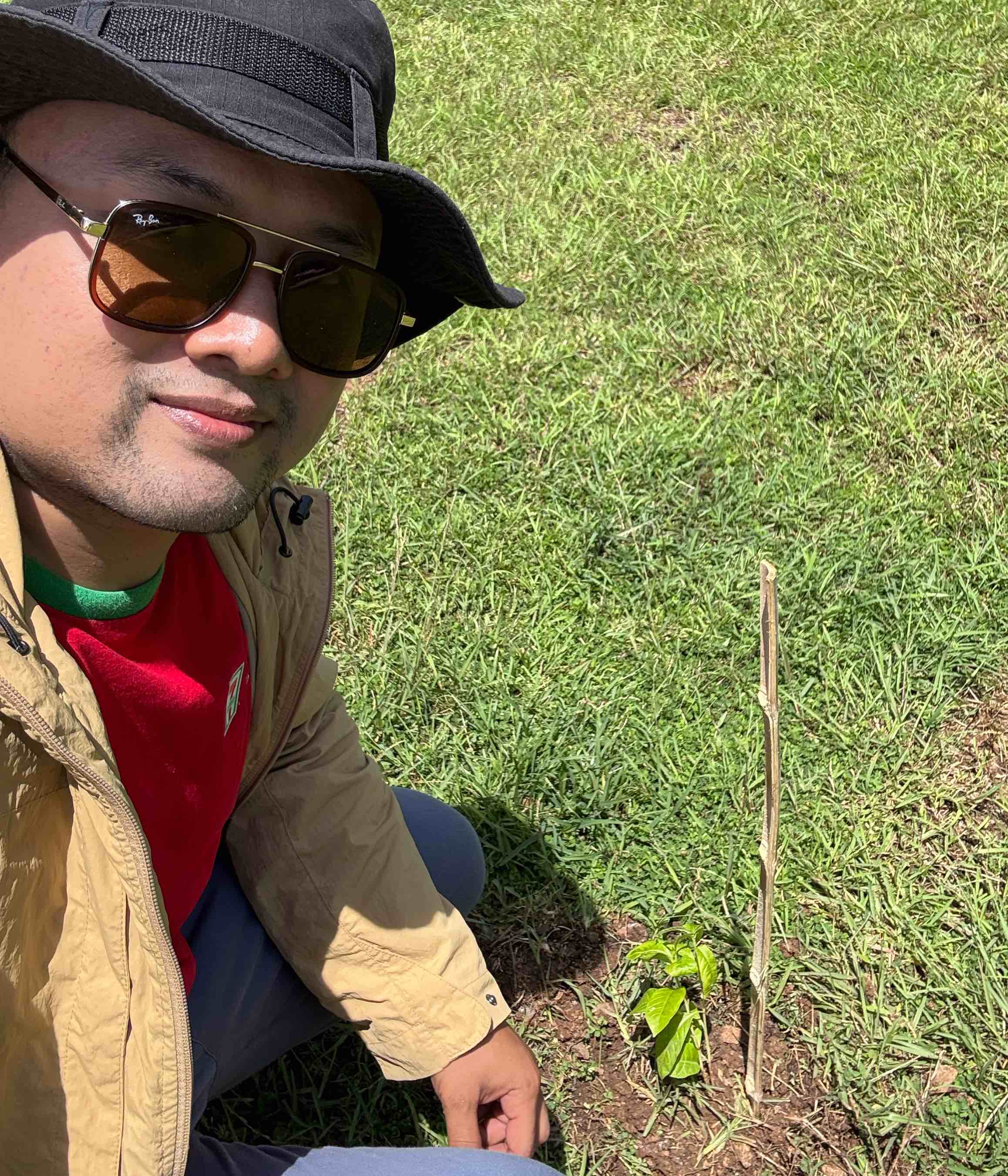 nexus-6.still002-100529777-orig